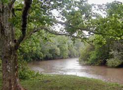 Arroyo Chimiray