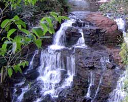 El Salto elena es uno de los tantos pequeños afluentes del Río Paraná que nacen a unos pocos Km. de su desembocadura. 