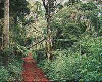 La reserva de la Biosfera se halla ubicada en los Municipios de San Pedro y El Soberbio. Esto es la zona Centro-Este de la Provincia de Misiones. Es Reserva de Biosfera desde 1995.